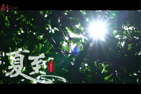 夏至，听一曲夏日协奏曲，静待疫散花开图片
