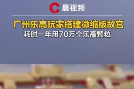 广州乐高玩家搭建微缩版故宫，耗时一年用70万个乐高颗粒，取名《我是中国人》！视频封面