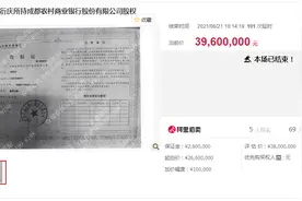 成都农商行1000万股拍出背后：持股人创“四川月饼第一品牌”商标曾天价成交图片