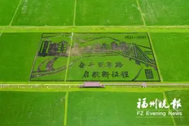 福清艺术稻田献礼建党百年图片