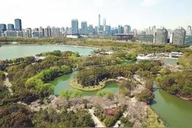 七月起申城新增三座热门公园免费开放图片