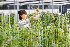 村里开了直播课（决胜全面小康·小家看小康（43））图片