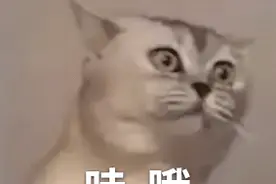 扩散丨宁夏人注意，放假通知已发布图片