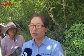 整天与“恶臭”为伴！江苏有159名“嗅辨员”闻臭识污染图片
