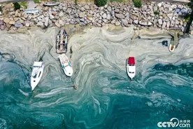 土耳其马尔马拉海遭遇“海鼻涕”危机图片