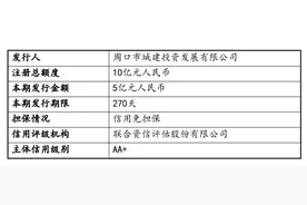 周口城投拟发行5亿元超短融，偿还有息债务及补充流动资金图片