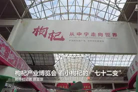 枸杞产业博览会 看小枸杞的“七十二变”视频封面