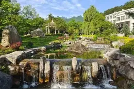 走进镇安杜鹃山庄图片