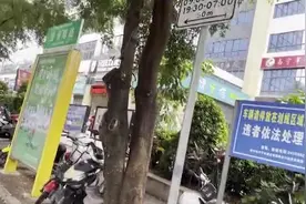 南宁一路段十几米距离立了三块停车标志牌，在这停车是免费还是收费？图片