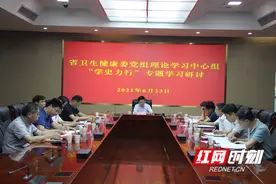 湖南省卫健委党组理论学习中心组开展党史学习教育“学史力行”专题研讨图片