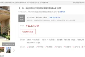 海南省委原常委张琦涉赃深圳房产被拍卖，成交价6317万元图片