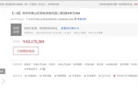 海南省委原常委张琦涉赃深圳房产被拍卖，成交价6317万元图片