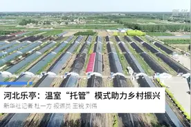 河北乐亭：温室“托管”模式助力乡村振兴视频封面