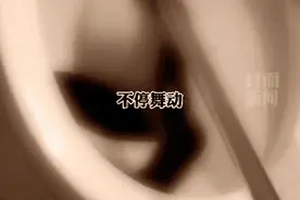 胆小慎入！家中马桶突然钻出一条黑色大长蛇 现场尖叫连连图片