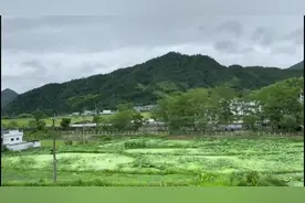 网络媒体革命老区行 红军街、红军井、红军桥，红色故事在泰宁薪火相传视频封面
