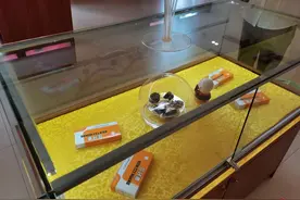 线上最高1250元/粒，线下每人限购1粒，片仔癀卖的是什么药？图片