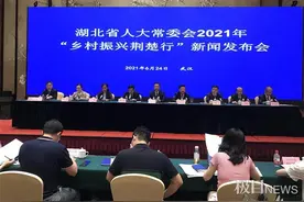 率先垂范！湖北省领导将“包县”推进乡村振兴定点帮扶图片