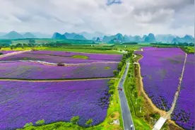 新柳南高速通车啦！花海、湖泊、古村寨......1.6h路程串起一路好风光图片