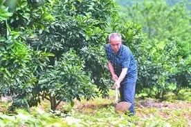 坚守43年，他带领乡亲们在绝壁上“抠”出8公里天路......图片