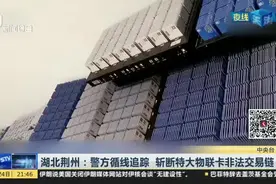 湖北荆州：警方循线追踪  斩断特大物联卡非法交易链视频封面