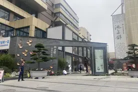 成都荷花池，华丽变身图片