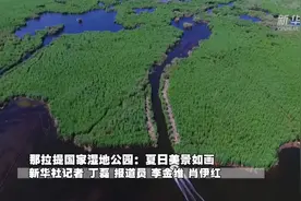 那拉提国家湿地公园：夏日美景如画视频封面
