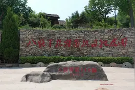 “绿色林场的红色印迹”媒体采风活动走进枣庄抱犊崮林场视频封面