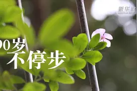 岭南师范学院里的“一号老人”视频封面