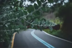 如果还有暑假，我想和你这样过图片