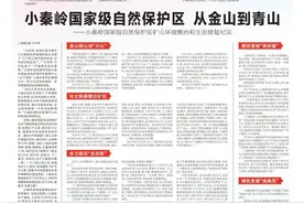 小秦岭国家级自然保护区 从金山到青山——小秦岭国家级自然保护区矿山环境整治和生态修复纪实图片