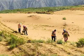 宁夏沙坡头：沙漠不等于“沙魔”从草方格固沙到实验室测沙图片