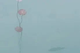 那年相亲，我差点成了“倒插门”图片