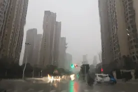 暴雨来了图片