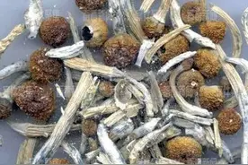 这种巧克力、糖豆和邮票，千万别碰！揭露“新型毒品”的花式伪装图片