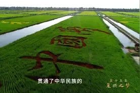 敢教日月换新天 | 第十五集《复兴之梦》、第十六集《改革攻坚》速览图片