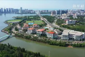自贸港那些事儿｜海南自贸港创业的“歪果仁”们视频封面