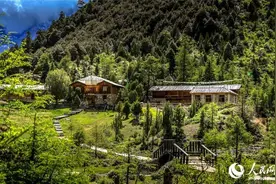 走进云南白马雪山曲宗贡 邂逅夏日美景图片