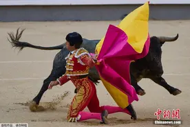 西班牙拉斯班塔斯斗牛场举行斗牛比赛 民众前来现场观看图片