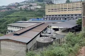 独家｜圣窖酒业产能说法前后不一，体验店门可罗雀图片