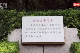 湘籍烈士归根记丨神枪手欧阳波平：三战敌军立战功图片