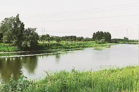 网红“打卡地”层出不穷！沧州这些地方你最近去过吗图片