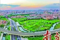南海大沥 从广佛“黄金走廊”到广佛“新中心”图片