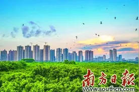 顺德伦教 以党建聚合力打造魅力宜居小城图片