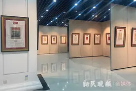 星星之火燎原势 百年百种红色进步期刊创刊号封面展在沪开幕图片