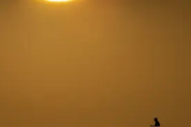 我们如何诗意地与这个世界相遇？图片