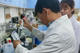为皂荚鉴定性别！河师大的这一科研成果表明，植物也讲究“男女搭配、干活不累”图片