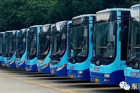 东莞：麻涌解除封控，这些公交线路恢复图片