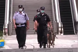 勇敢狗狗，不怕困难！济南地铁“警犬护卫队”上岗啦图片