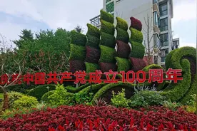 庆祝建党100周年，青浦5处绿雕“换装”亮相~图片