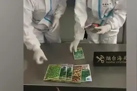 烟台海关查获10包非法入境种子，涉及薰衣草等9个品种视频封面